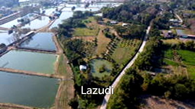 ที่ดิน เชียงราย : ขายที่ดิน 18 ไร่ พร้อมไม้ผลออร์แกนิก