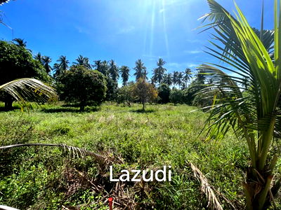 Land for sale : Land for Sale in MaduaWan – Koh Phangan