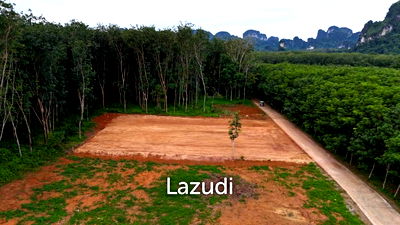 Land for sale Krabi : Prime Freehold Land with Mountain Views in Nong Thale Krabi