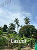 listing thumbnail image 39