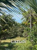 listing thumbnail image 5