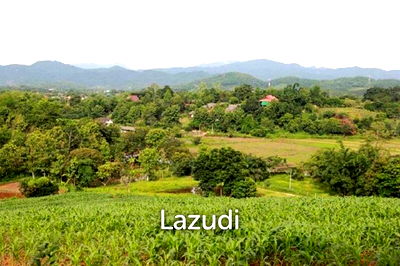 ที่ดิน เชียงราย : 13 Rai Near to Wat Huay Plakang for Sale