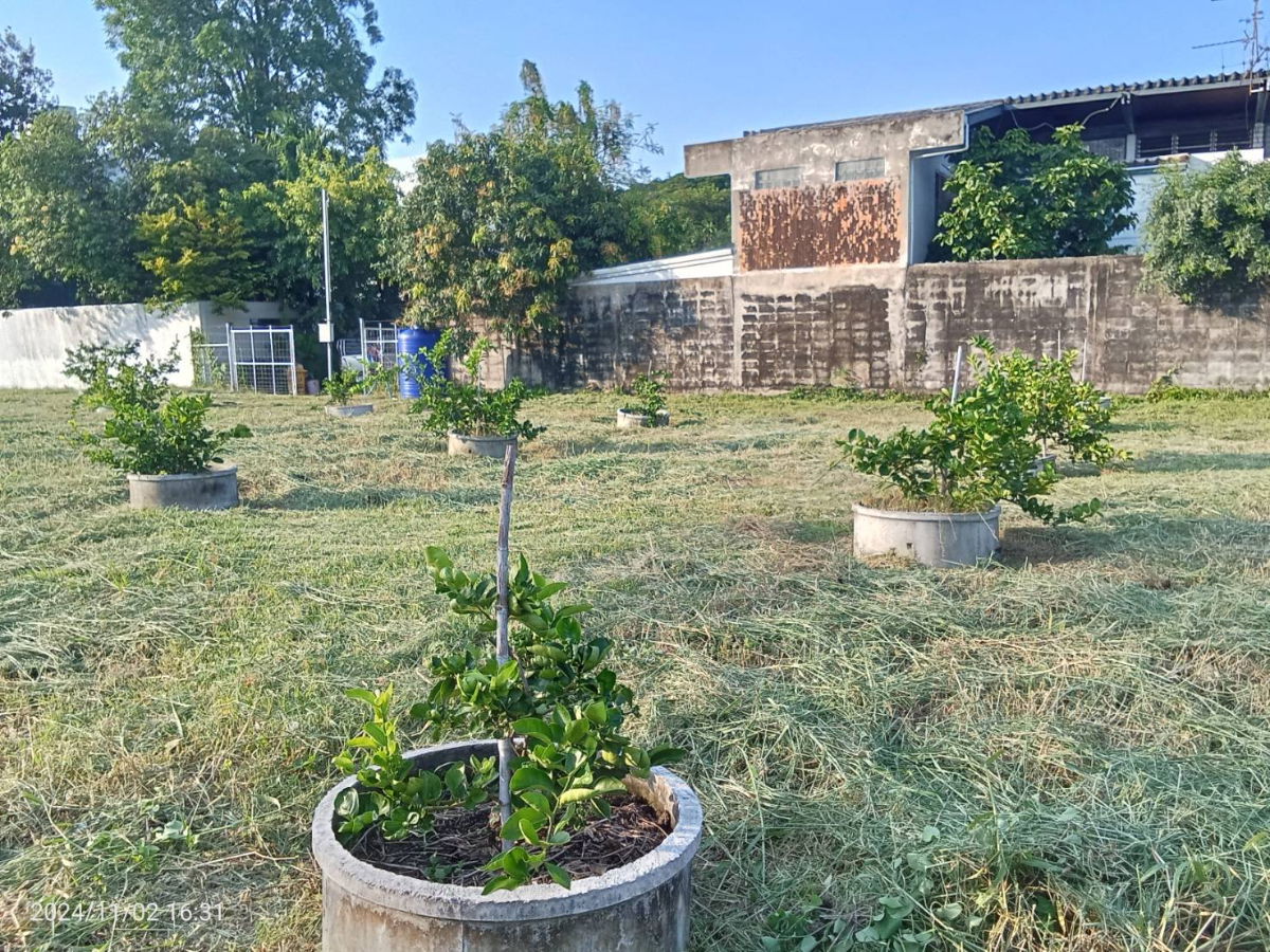 รูป ขายด่วน ที่ดิน 696 ตารางวา @ ซอย รามคำแหง 12 - รูปที่ 12/15