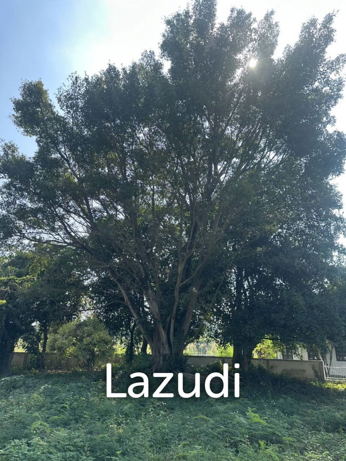 รูป ขายบ้าน 3 ห้องนอนพร้อมที่ดิน 1 ไร่ ใกล้สนามบินเชียงใหม่ - รูปที่ 23/28