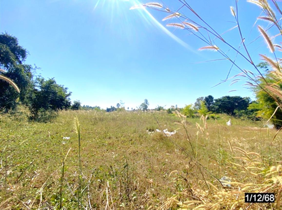 รูป ที่ดินว่างเปล่า 2838 ตร.วา น้ำพอง ขอนแก่น 2.8M - รูปที่ 13/18