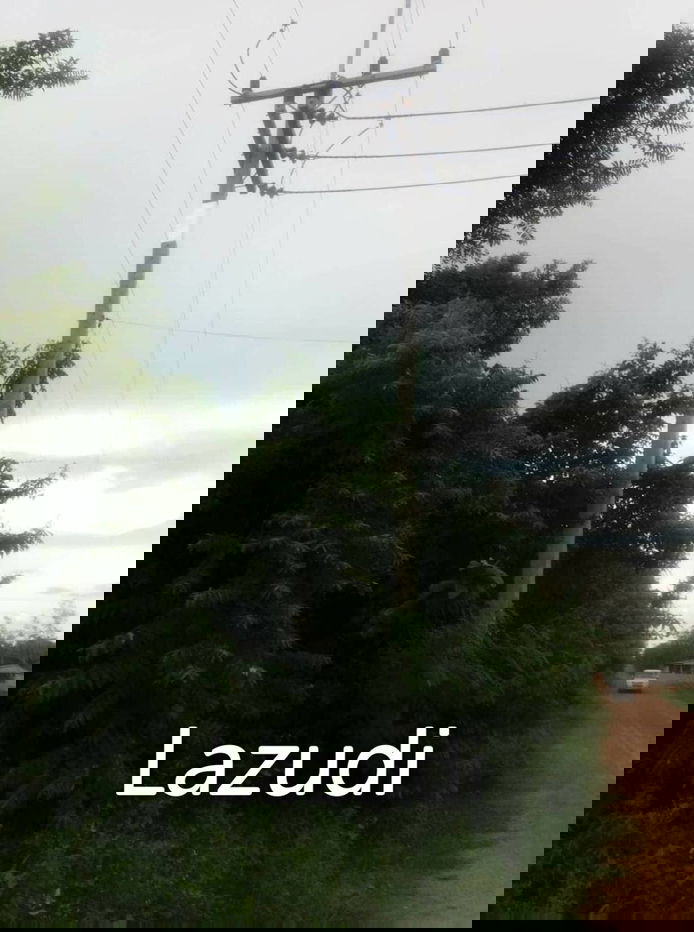 รูป ขายที่ดิน - รูปที่ 1/3