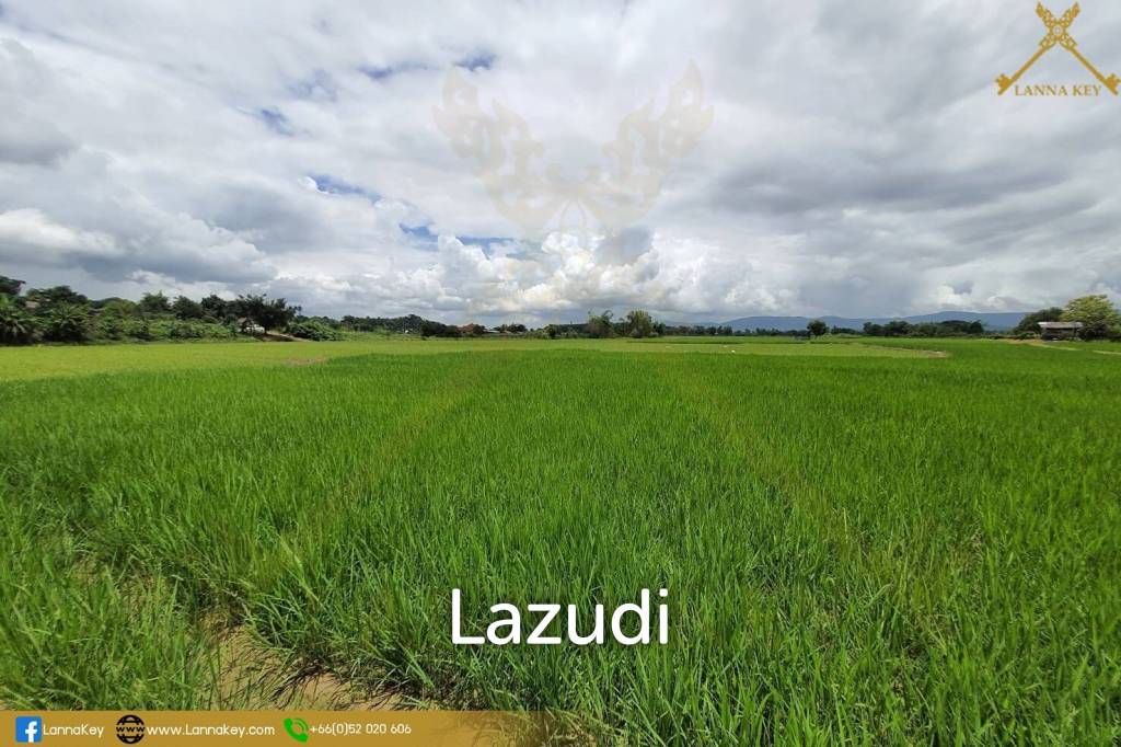 picture Land with Beautiful Rice Fields and Nice View for Sale - 1/19