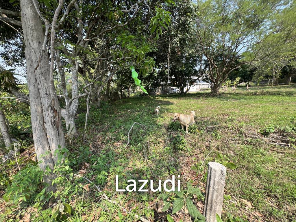 รูป ขายที่ดิน 1 ไร่ในโซนดอยเขาควาย ใกล้กับเมืองเชียงราย - รูปที่ 15/18