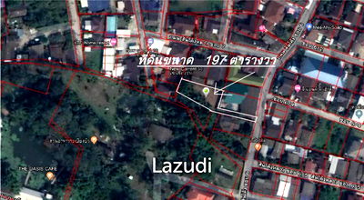 ที่ดิน เชียงราย : Land for Sale in Chiang Rai
