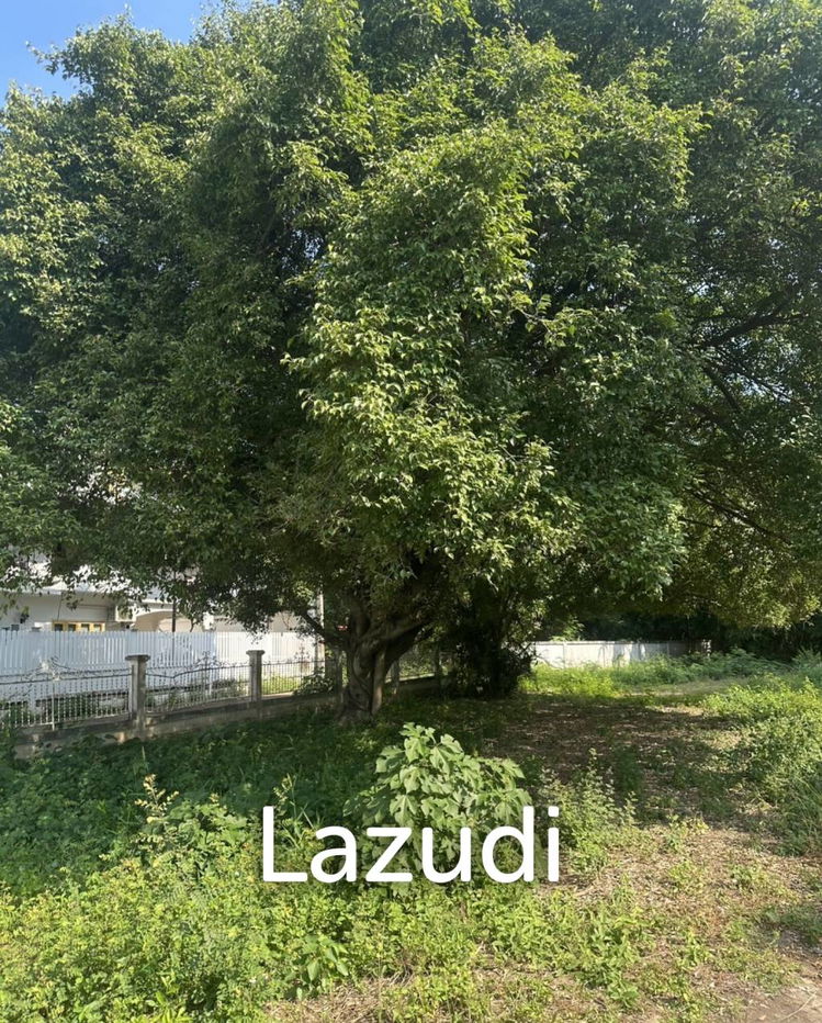 รูป ขายบ้าน 3 ห้องนอนพร้อมที่ดิน 1 ไร่ ใกล้สนามบินเชียงใหม่ - รูปที่ 22/28