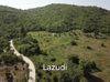 listing thumbnail image 24