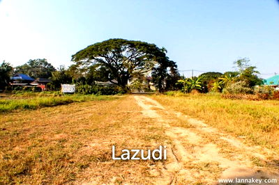 ที่ดิน เชียงราย : Land for Sale at Pa Yang Mon