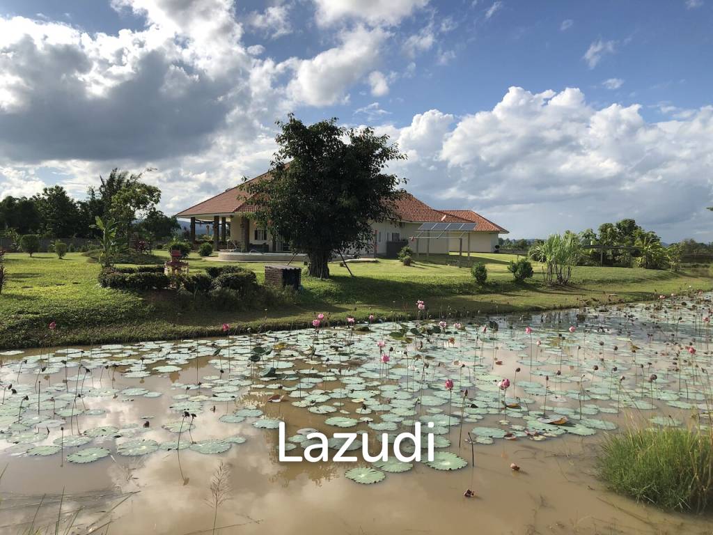 รูป พูลวิลล่า 3 ห้องนอนบนพื้นที่ 7200 ตารางเมตรสำหรับขาย - รูปที่ 52/61