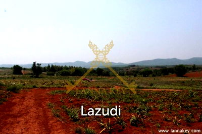 ที่ดิน เชียงราย : 168 rai of Land in Mae Chan for Sale