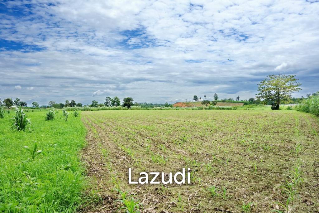 รูป ขายที่ดินขนาดใหญ่ติดบายพาสเส้นก่อน ม. แม่ฟ้าหลวงตัดใหม่ไป เชียงแสน เชียงราย - รูปที่ 4/9