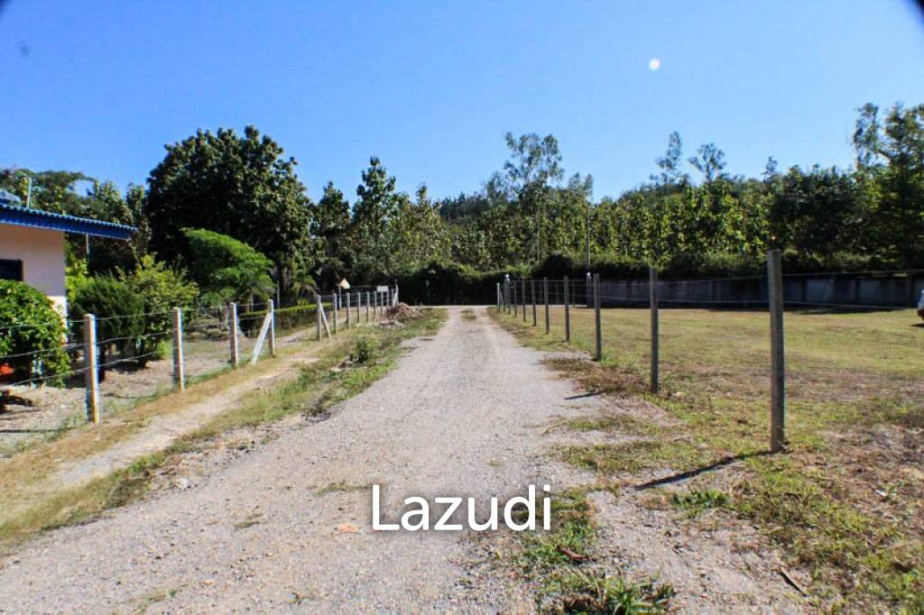 รูป Land for Sale in Doi Hang - รูปที่ 4/4