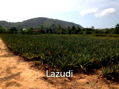 Land for sale Hua Hin Bus Station : 3.5 Rai of Lovely Land, nr main road with great views.