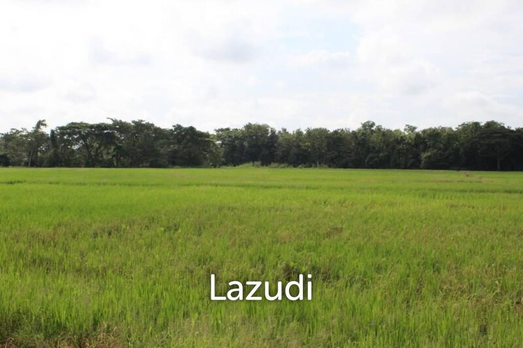 รูป 27 Rai of Land for Sale - รูปที่ 8/19