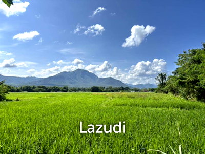 Land for sale : 47 Rai with Mountain Views at Mae On. All title deeds!