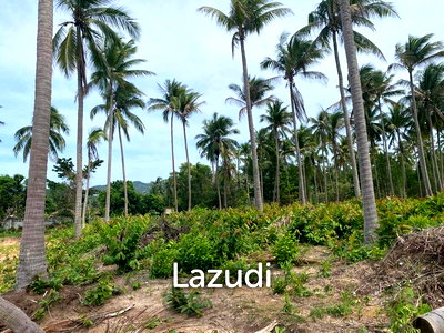 Land for sale Surat Thani : Prime 1408 sqm Plots in New Development: Main Road Access, Concrete Roads, and On-Site Hospital