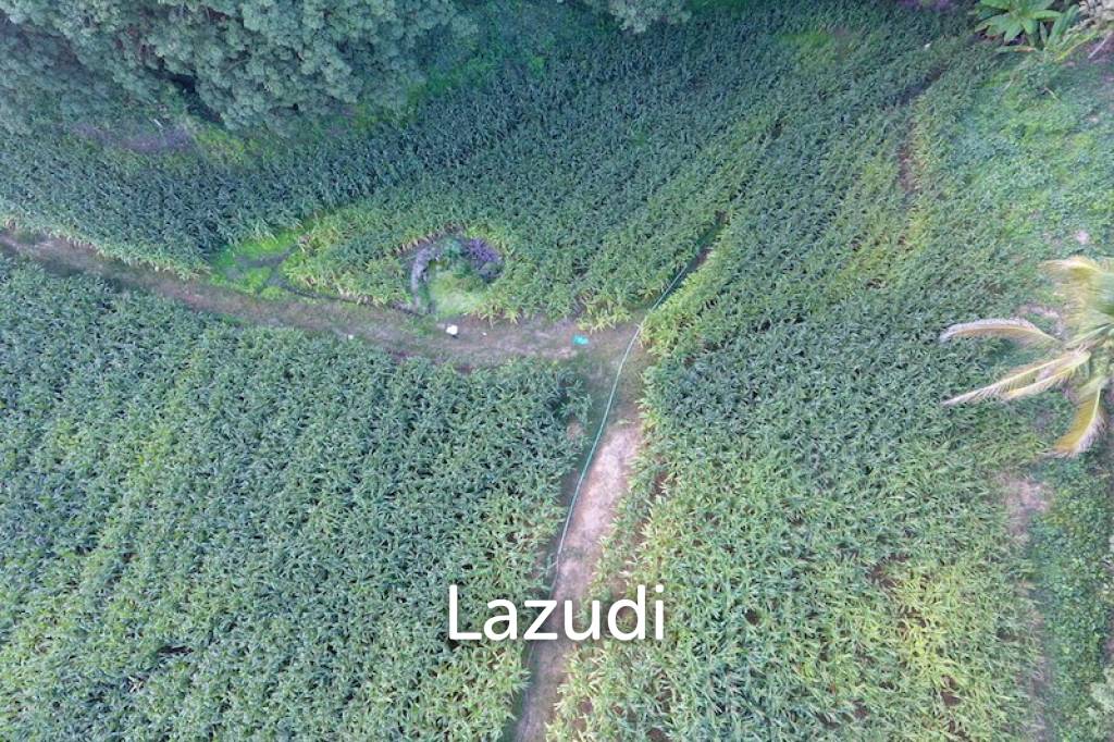 รูป 6 rai of land on Hill for Sale - รูปที่ 5/9