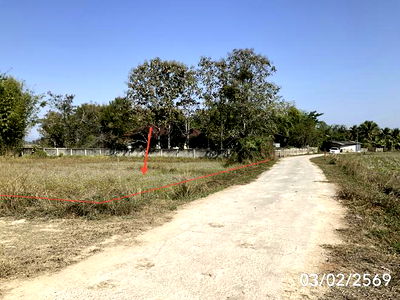 ที่ดิน พะเยา : ที่ดินว่างเปล่า สำหรับขาย - บ้านใหม่ เมืองพะเยา พะเยา