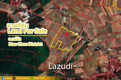 ที่ดิน เชียงราย : Nice Land with Rice Field for Sale