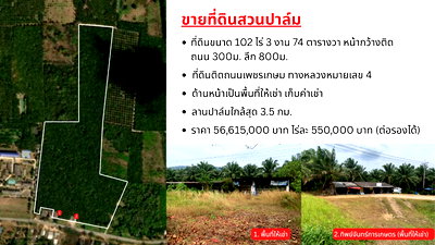 ที่ดิน ระนอง : ที่ดินสวนปาล์ม 102 ไร่ 3 งาน 74 ตารางวา อ.กะเปอร์ จังหวัดระนอง