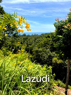 ที่ดิน สุราษฎร์ธานี : 1,084.0 ตร.ม.ที่ดินสำหรับ ขายใน เกาะพะงัน