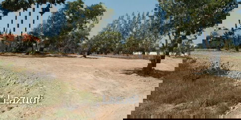 Land for sale 1128SQ.M in Pranburi near Hua Hin