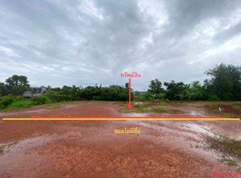 รูป ที่ดินว่างเปล่า 54 ตร.วา เมืองพัทลุง พัทลุง 810,000 - รูปที่ 13/16