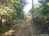 listing thumbnail image 30