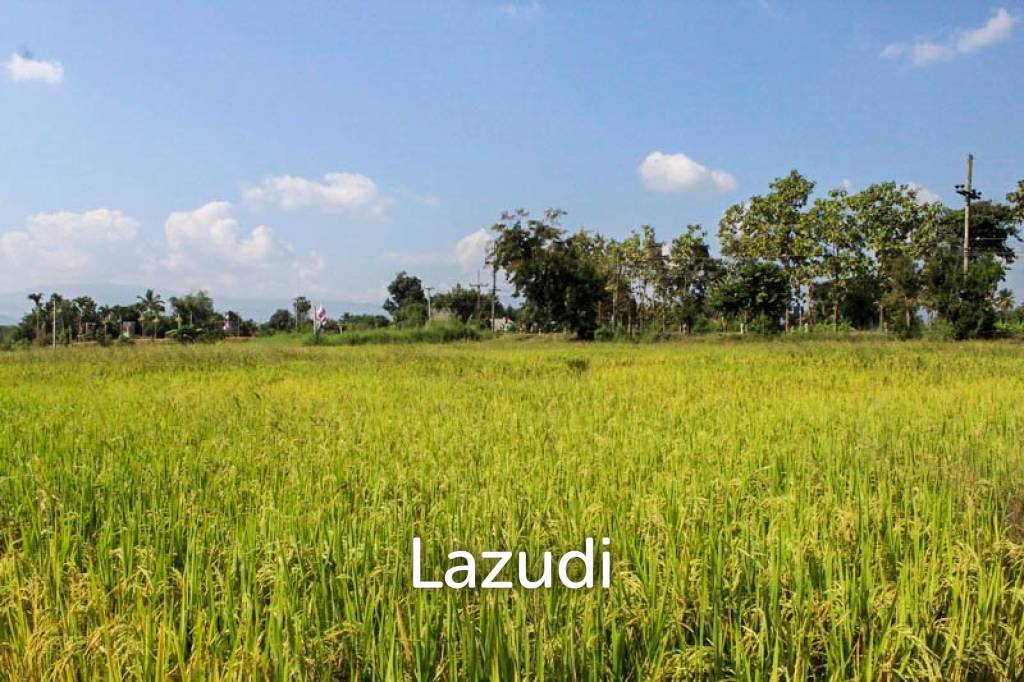 picture Large Land for Sale - 11/11