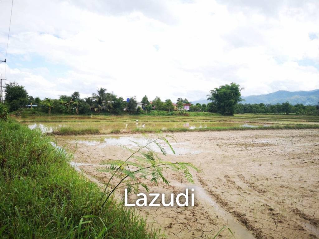 รูป ขายที่ดิน 34 ไร่ติดกับทางหลวง 4 เลนเส้นพะเยา-เชียงราย - รูปที่ 5/8