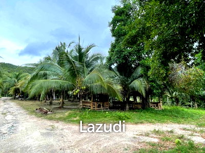 ที่ดิน สุราษฎร์ธานี : 1,600.0 ตร.ม.ที่ดินสำหรับ ขายใน เกาะพะงัน