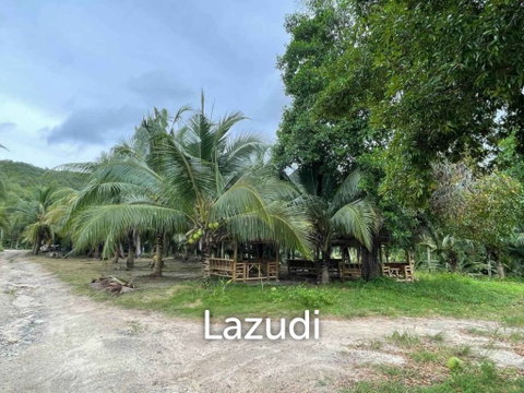 Premium Land For Sale in Ko Pha-ngan