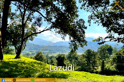 ที่ดิน เชียงราย : Stunning View Land near Hot Springs