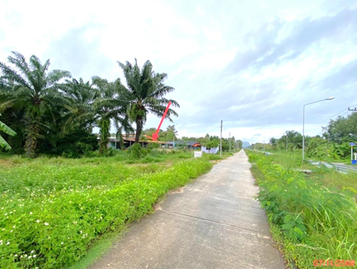 picture LAND for sale Khlong Khut Muang Satun Satun - 6/10