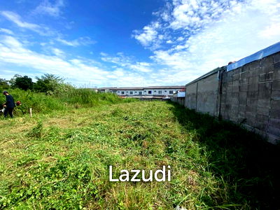 Land for sale Krathinglai Beach : 100 SQ.M Land at Pattaya Klang.