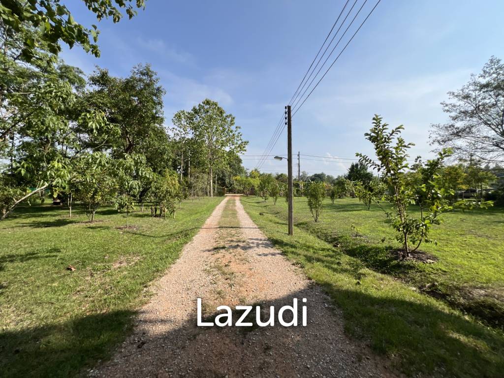 รูป ขายบ้าน 2 ห้องนอนในสวนไม้สักในพื้นที่กว่า 7 ไร่ - รูปที่ 50/74