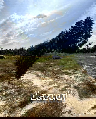 ที่ดิน เกาะพะงัน สุราษฎร์ธานี : 712.0 ตร.ม.ที่ดินสำหรับ ขายใน เกาะพะงัน