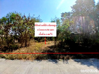 ที่ดิน นิคมหนองแค : ที่ดินว่างเปล่า สำหรับขาย - หนองปลิง หนองแค สระบุรี