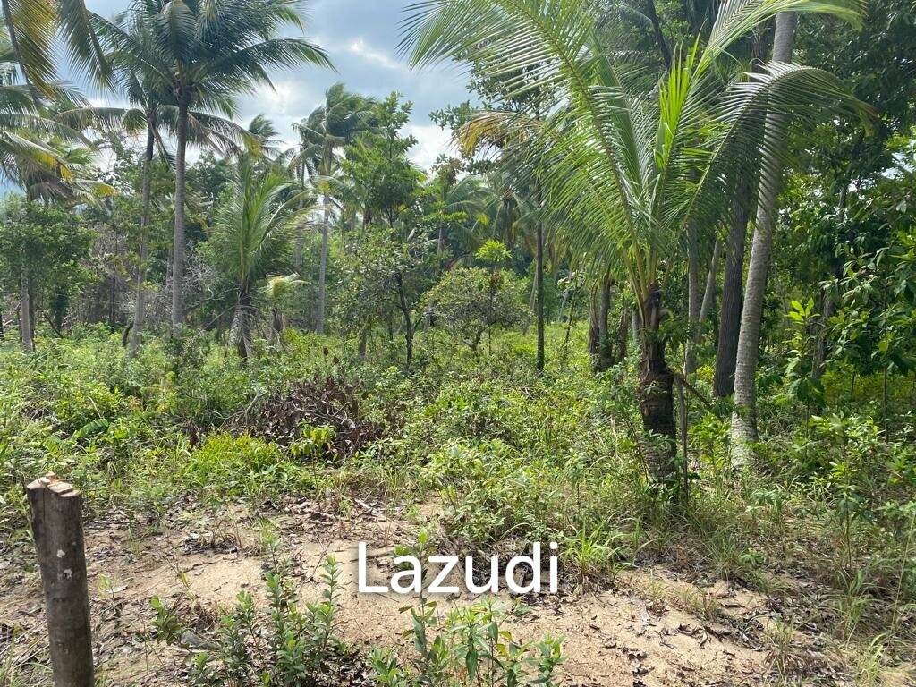 picture Natures Canvas: 644 sqm Land on Coconut Lane, Koh Phangan - 7/14