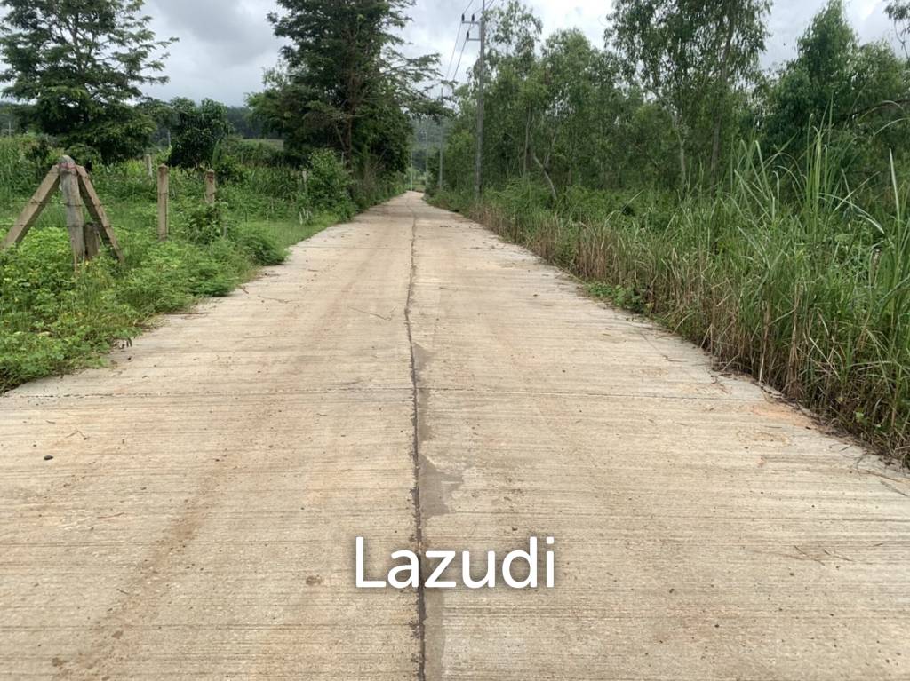 รูป ขายที่ดิน 47 ไร่บนเนิน วิวภูเขาสวย ราายล้อมด้วยธรรมชาติ - รูปที่ 4/16