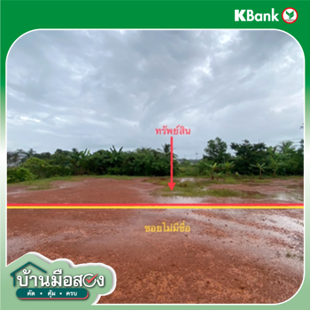 รูป ที่ดินว่างเปล่า 54 ตร.วา เมืองพัทลุง พัทลุง 810,000 - รูปที่ 14/16