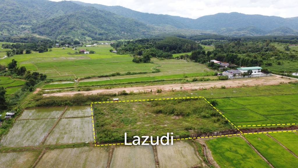 รูป ขายที่ดิน 3 ไร่ ล้อมรอบด้วยวิวภูเขาและธรรมชาติ - รูปที่ 10/11