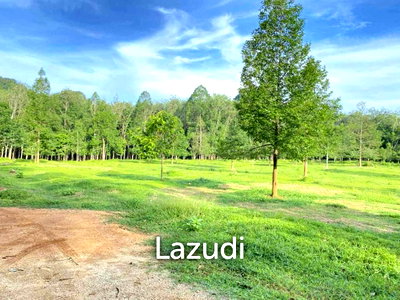 ที่ดิน กระบี่ : 3488 sqm mountain view Land for Sale in Nong Thale Mueang Krabi