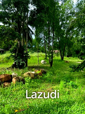 Land for sale Ko Phangan Surat Thani : Prime Flat Land for Sale in Ban Nai Son, Koh Phangan