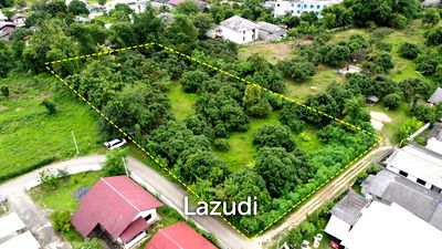 ที่ดิน เชียงราย : ขายที่ดิน 2 ไร่โฉนดเป็นเนินเล็กๆใกล้มฟล.