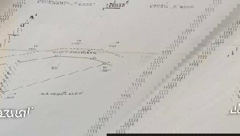 1 แปลงใหญ่ในมุกดาหารขาย